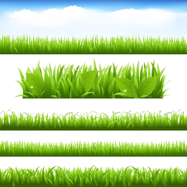 Zöld fű és a levelek készlet — Stock Vector
