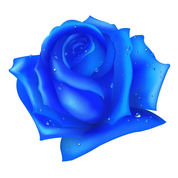 De blauwe roos — Stockvector