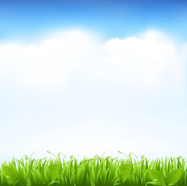 Gräs och himmel — Stock vektor