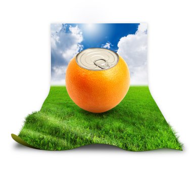 Fresh orange can on grass over white clipart