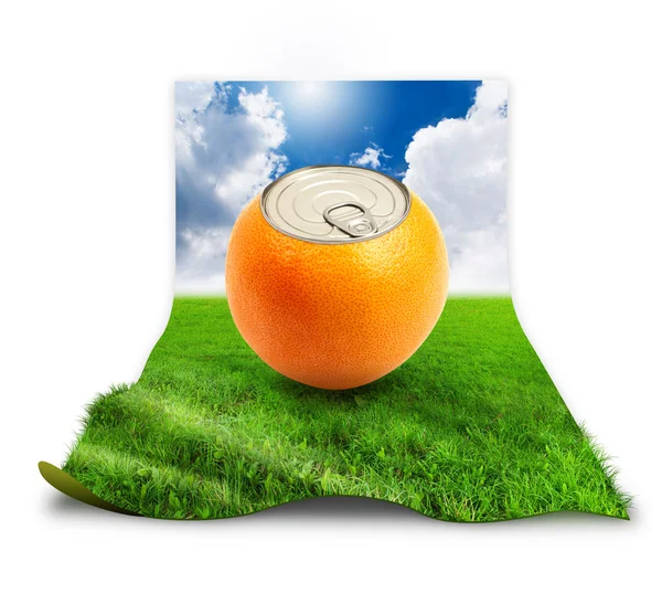 Fresh orange can on grass over white — Stock Photo, Image
