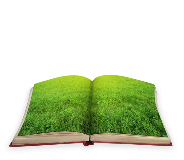 Magic book isolated — Stock Photo, Image