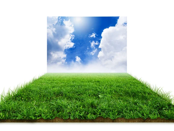 3D grass with clouds over white — Stock Photo, Image