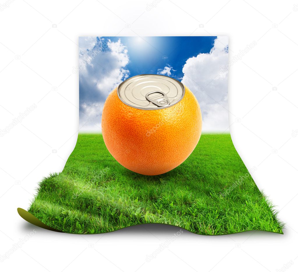 Fresh orange can on grass over white