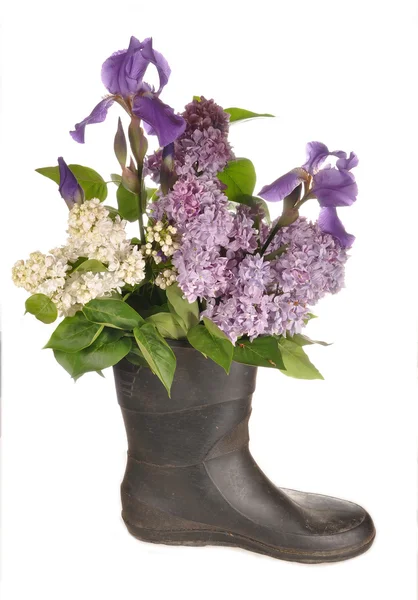 ดอกไม้ในรองเท้าบูท — ภาพถ่ายสต็อก