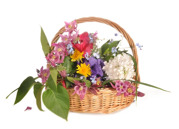 Bunch of flowers in a basket — Stock Photo, Image