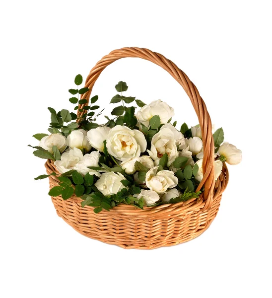 Weiße Rosen liegen in einem Korb — Stockfoto