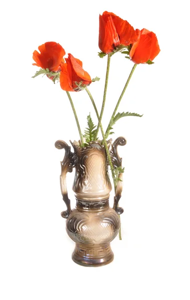 Poppies in a vase — Stock Photo, Image