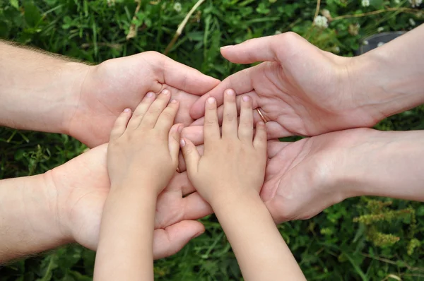 Children's hands in hands of adults — Stock Photo, Image