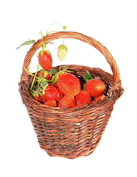 Korg med en jordgubbe i isolerade — Stockfoto