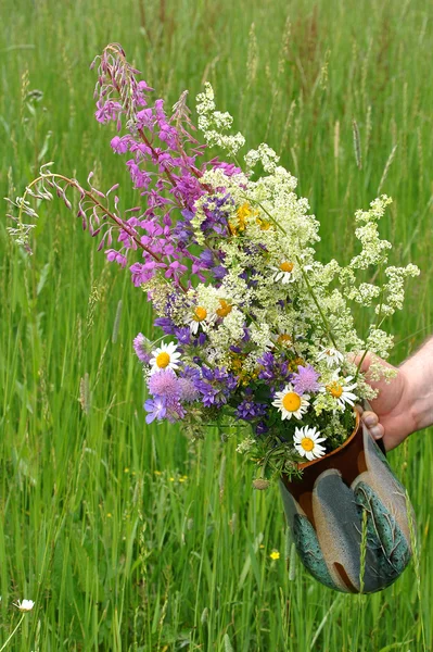 Florero con colores de campo —  Fotos de Stock