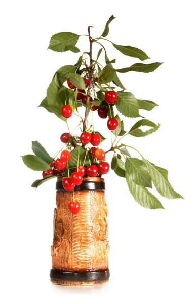 Ramo di ciliegio in un vaso di ceramica — Foto Stock