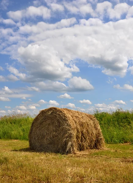 stock image Stack from straw