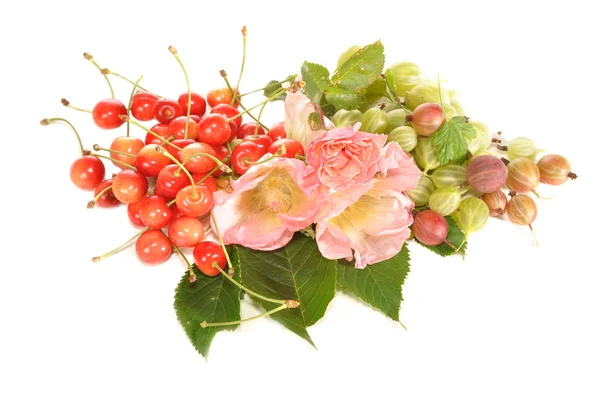 Sweet cherry, gooseberry and lavatera — Stock Photo, Image