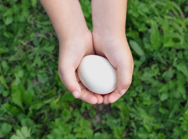 ellerinde yumurta