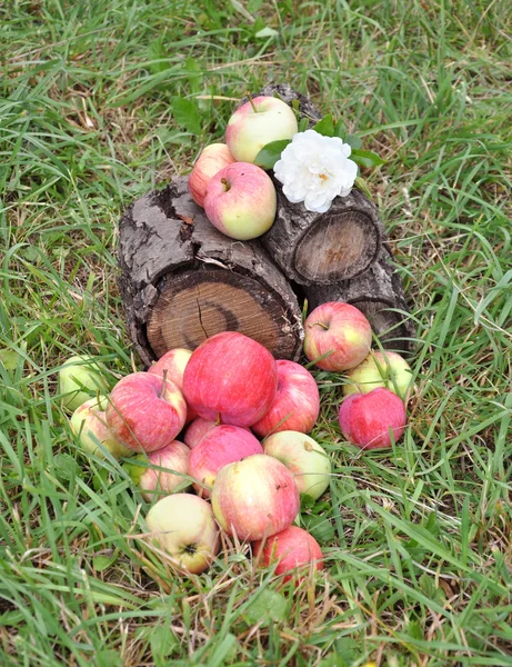 Apples in a grass on a stub — Stock Photo, Image