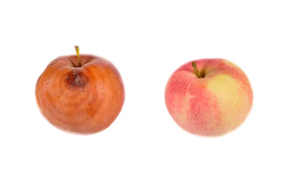 Młodych i starych jabłko — Zdjęcie stockowe
