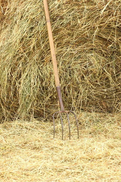 Pitchfork standing on a pile of straw — Stock Photo, Image