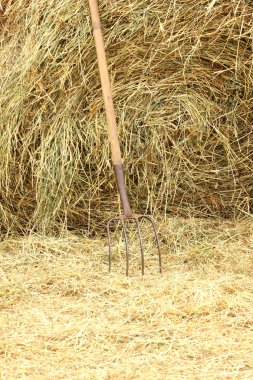 Pitchfork standing on a pile of straw clipart