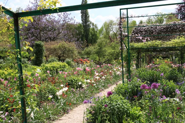 Jardín de flores en primavera —  Fotos de Stock