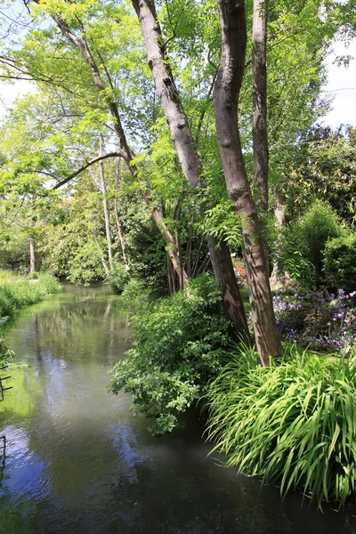 Río en el jardín —  Fotos de Stock