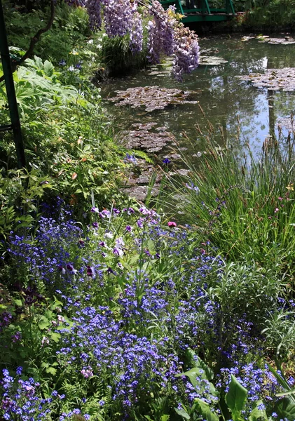 在花园里的河 — 图库照片