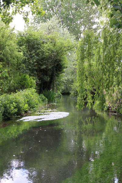 River in the garden — Stock Photo, Image