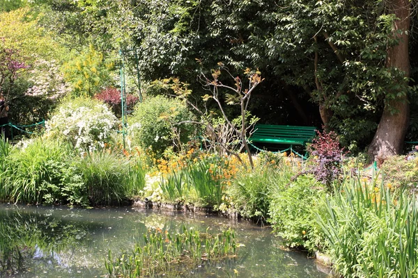River in the garden — Stock Photo, Image
