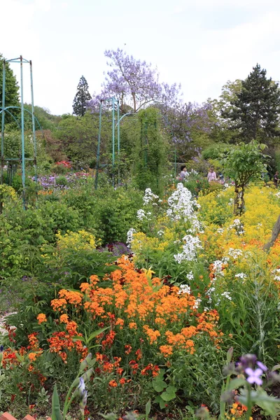 Весной цветочный сад — стоковое фото