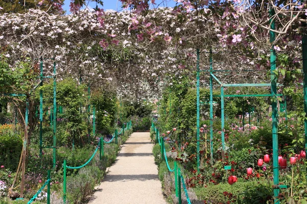 Flower garden in spring — Stock Photo, Image