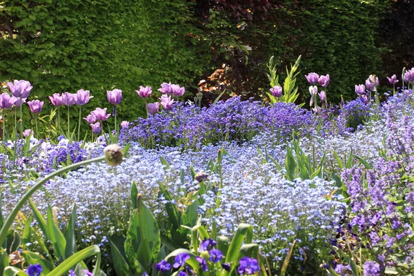 Jardim de flores na primavera — Fotografia de Stock