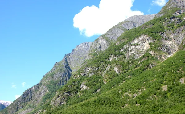 Bergssidan i Norge under våren — Stockfoto