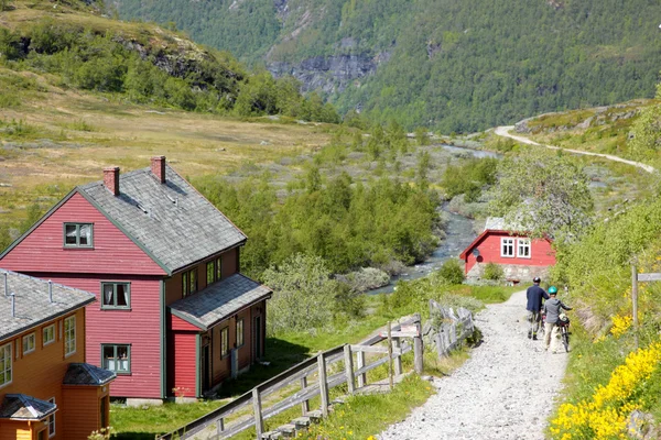 Норвежский дом цветов в горах — стоковое фото