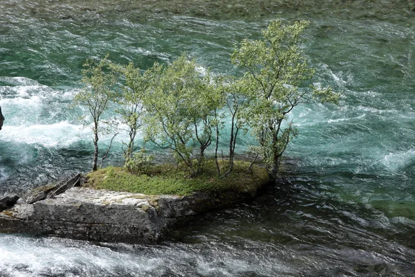 有了强大的电流在春天在挪威的洪流 — 图库照片