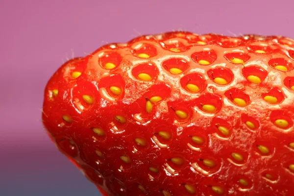 Jordbær på nært hold – stockfoto