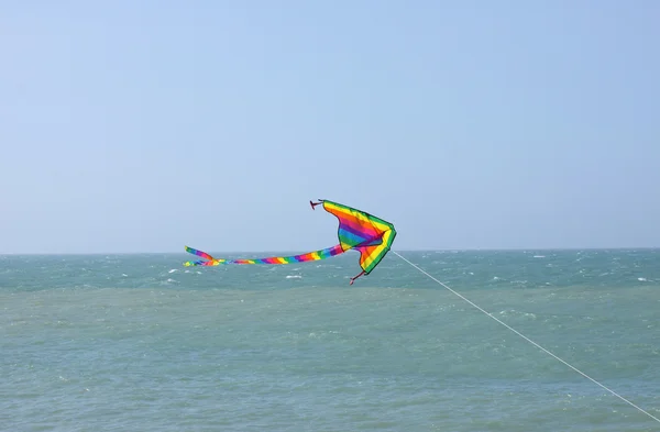 Kite in a blue sky above the sea — Stock Photo, Image