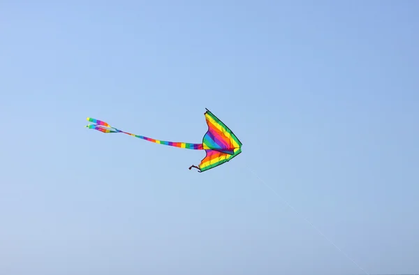 Kite in a blue sky above the sea — Stock Photo, Image