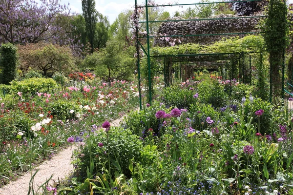 Jardín de flores en primavera — Foto de Stock