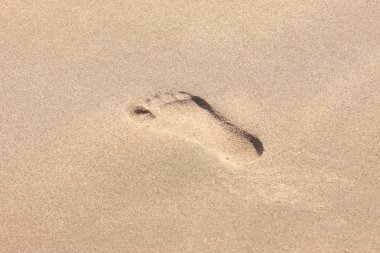 Trace of a child's foot on the sand of the beach clipart