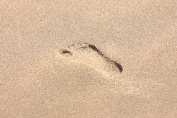 stock image Trace of a child's foot on the sand of the beach