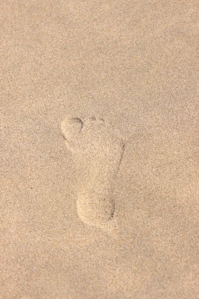 Trace of a child's foot on the sand of the beach — Stock Photo, Image