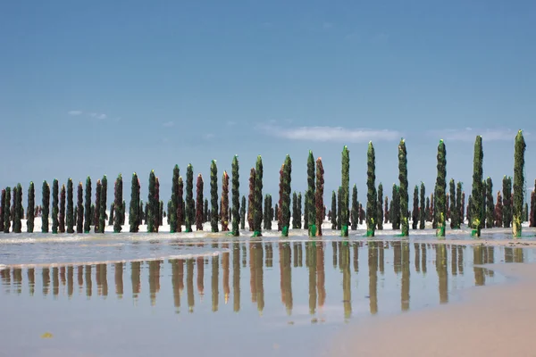 Slávka moře na pobřeží opál ve Francii — Stock fotografie
