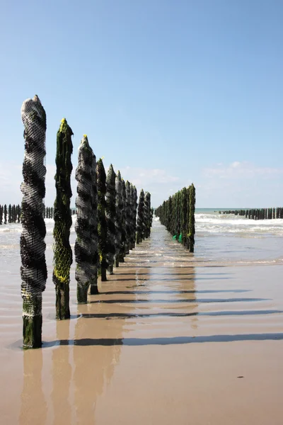 Мидийное море на побережье опала во Франции — стоковое фото