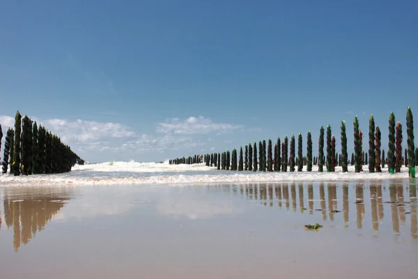 贻贝海海岸的蛋白石在法国 — 图库照片