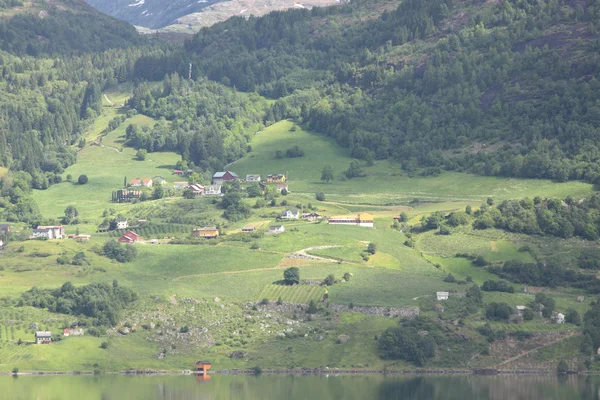 Harika fiyort Yeşiller Norveç bahar