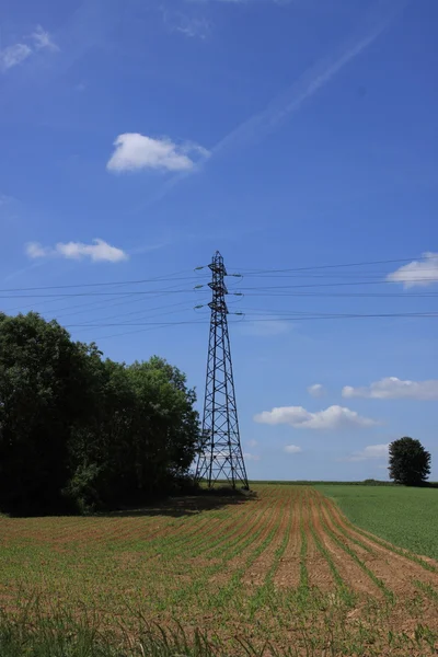 Elektriska pylon, högspänning linje Stockfoto