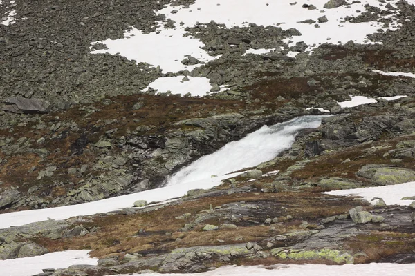 Wilde beken en watervallen van Noorwegen in de zomer — Stockfoto