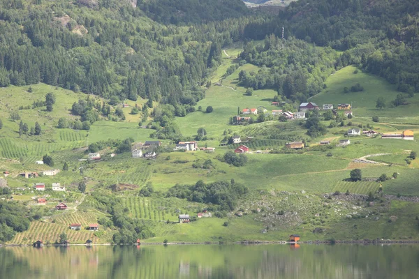 Wunderschönes Fjordgrün von Norwegen im Frühling — Stockfoto