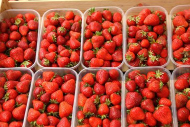 Trays of beautiful red strawberries and ripe de France clipart