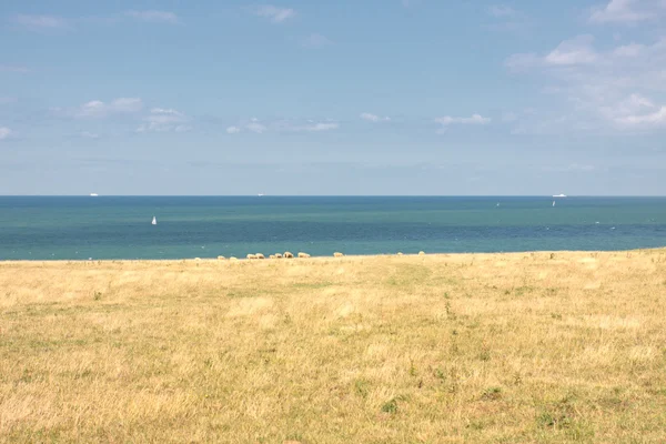 Krajobraz wybrzeża opalowego we Francji — Zdjęcie stockowe